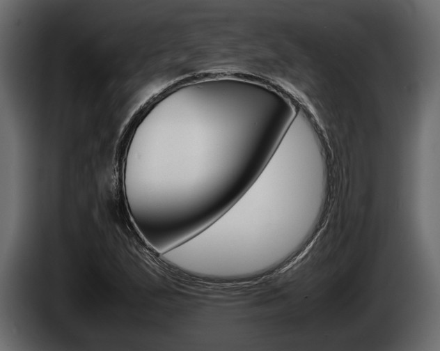 X0000086721167200704130722