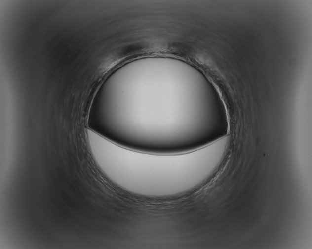 X0000086721169200704130722