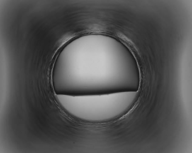 X0000086721170200704130722