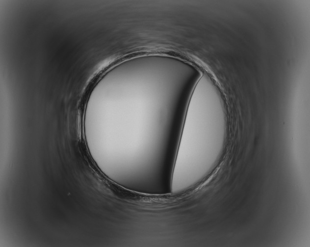 X0000086721171200704130722
