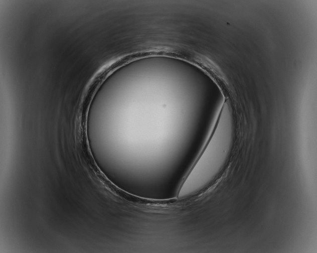 X0000086721172200704130722