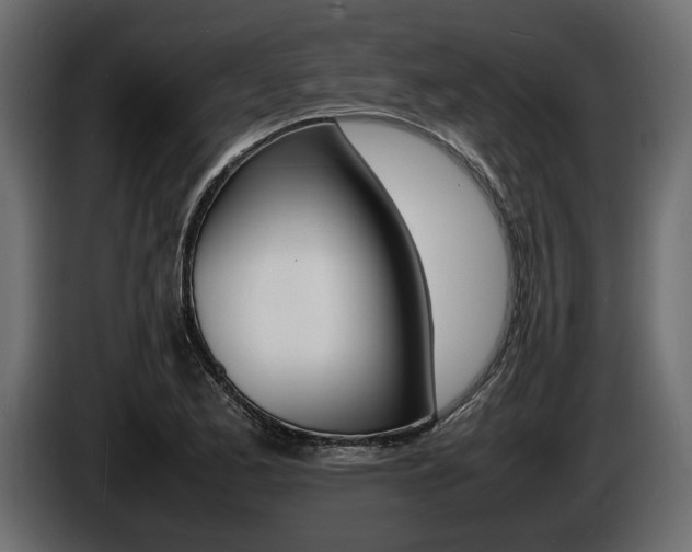 X0000086721173200704130722