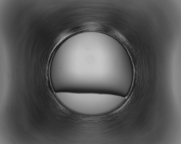 X0000086721178200704130722