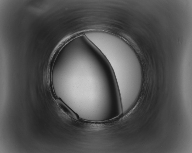 X0000086721180200704130722