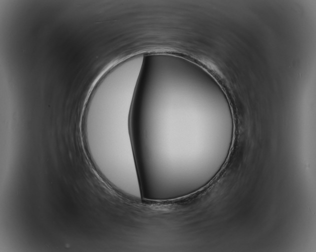 X0000086721181200704130722