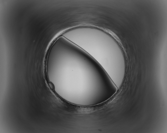 X0000086721183200704130722