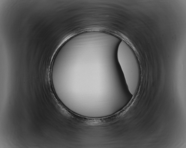 X0000086721186200704130722