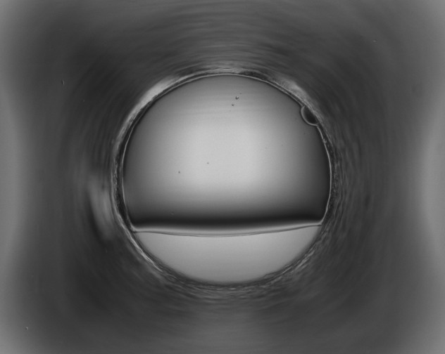 X0000086721187200704130722