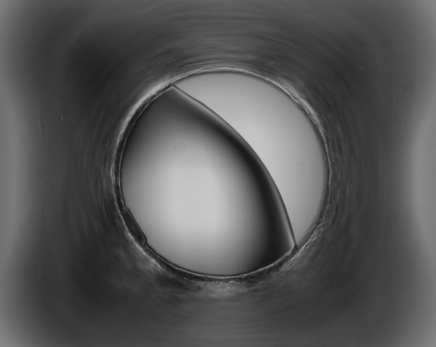 X0000086721189200704130722