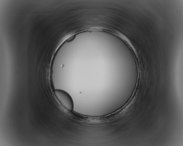 X0000086721194200704130722