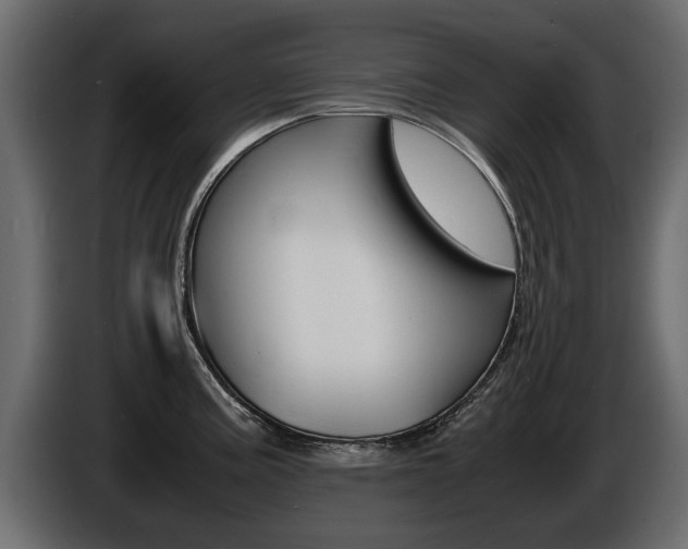 X0000086721195200704130722