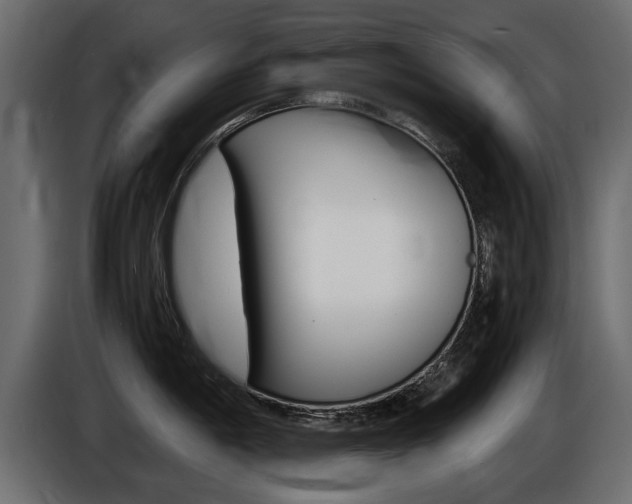 X0000086721198200704130722
