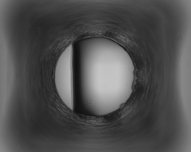 X0000086721201200704130721