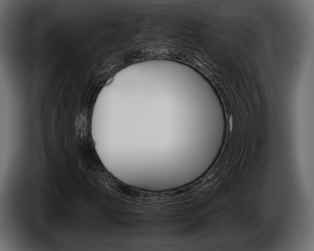 X0000086721203200704130721