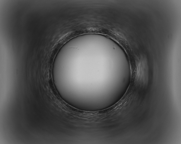 X0000086721205200704130721