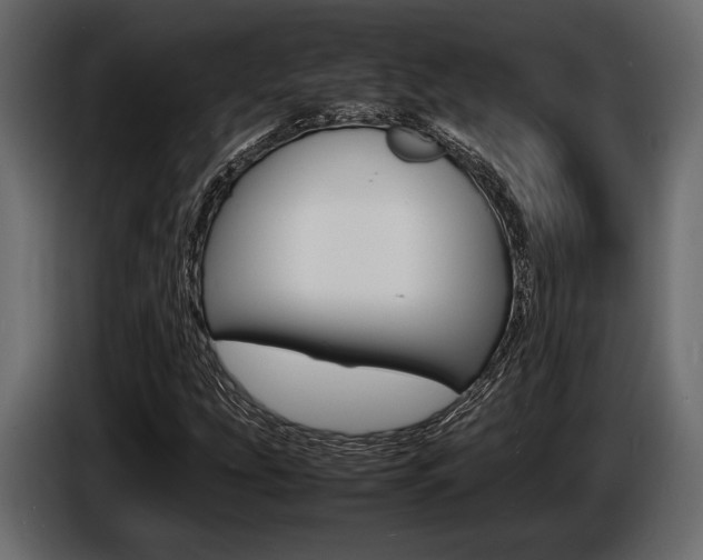 X0000086721207200704130722