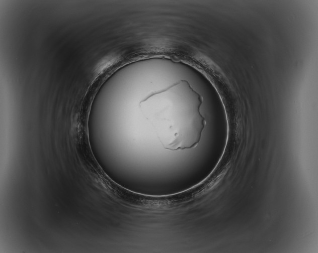 X0000086721210200704130722