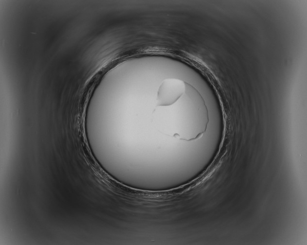X0000086721211200704130722