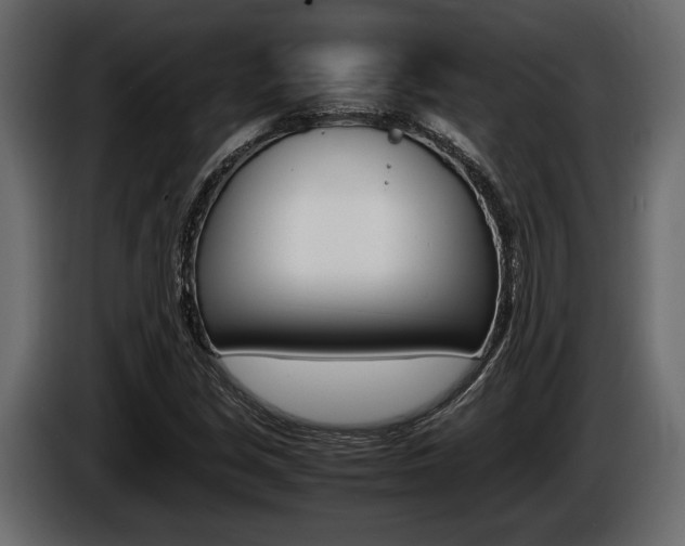 X0000086721213200704130722