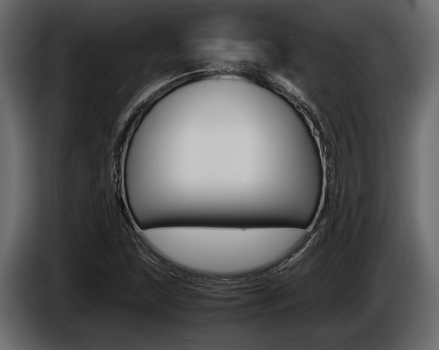 X0000086721215200704130722