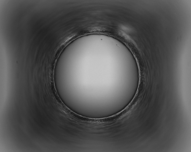 X0000086721217200704130722