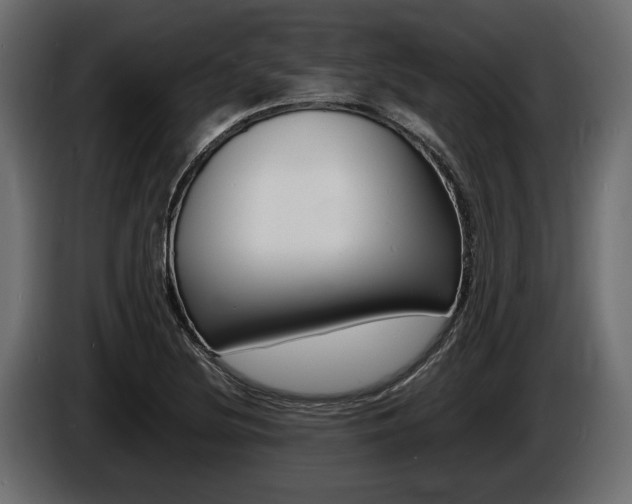 X0000086721220200704130722