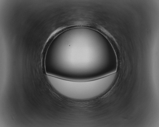 X0000086721222200704130722