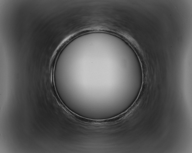 X0000086721224200704130722