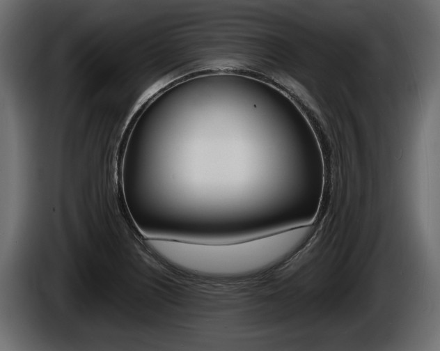 X0000086721226200704130722