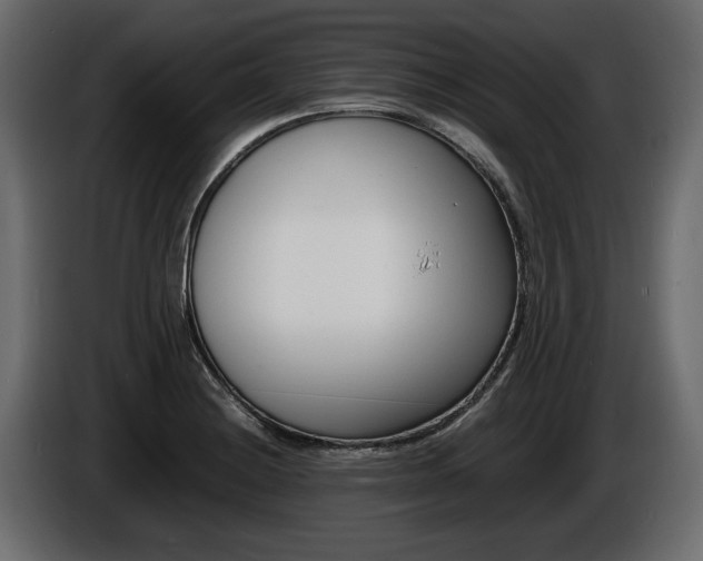 X0000086721228200704130722