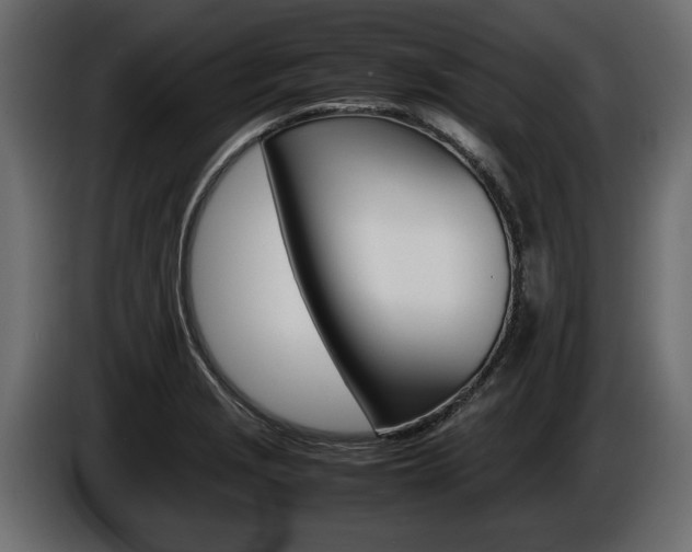 X0000086721229200704130722