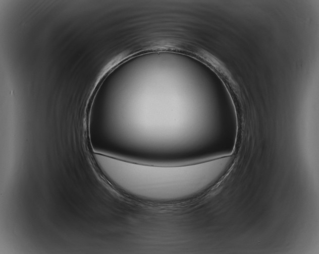 X0000086721234200704130722