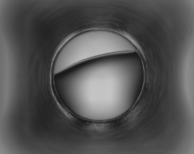 X0000086721237200704130722