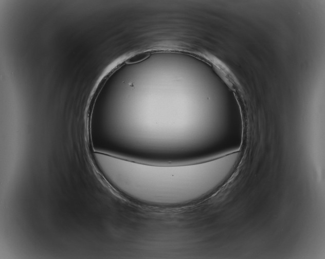 X0000086721238200704130722