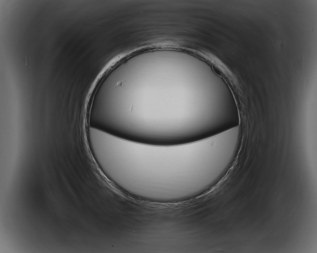 X0000086721240200704130722
