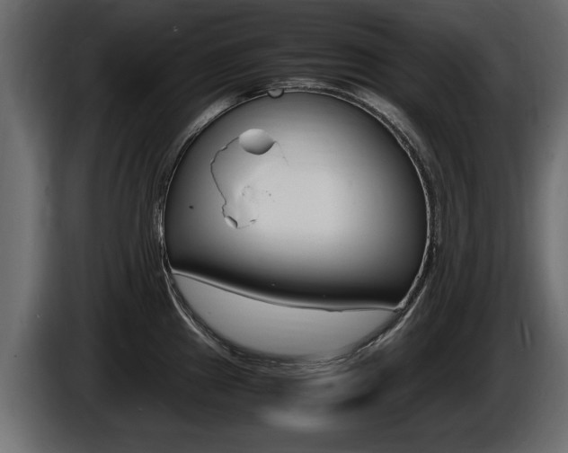 X0000086721241200704130722