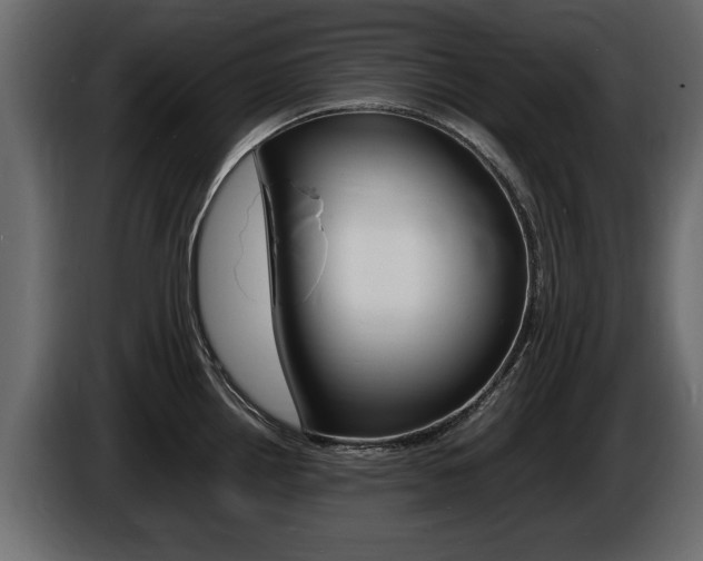 X0000086721242200704130722