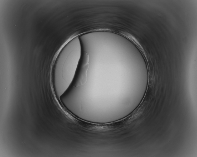 X0000086721243200704130722