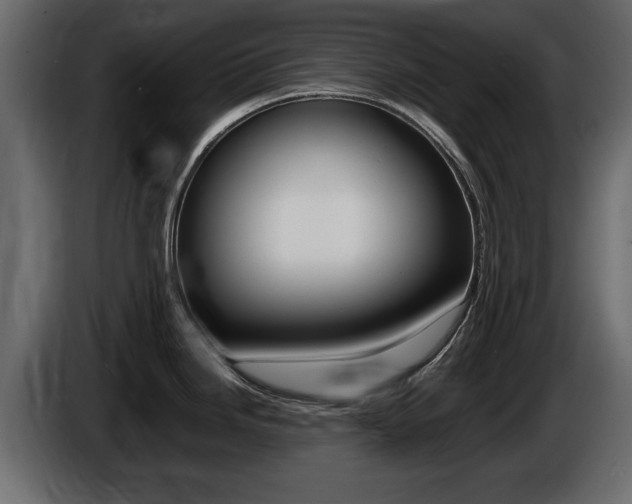 X0000086721246200704130722