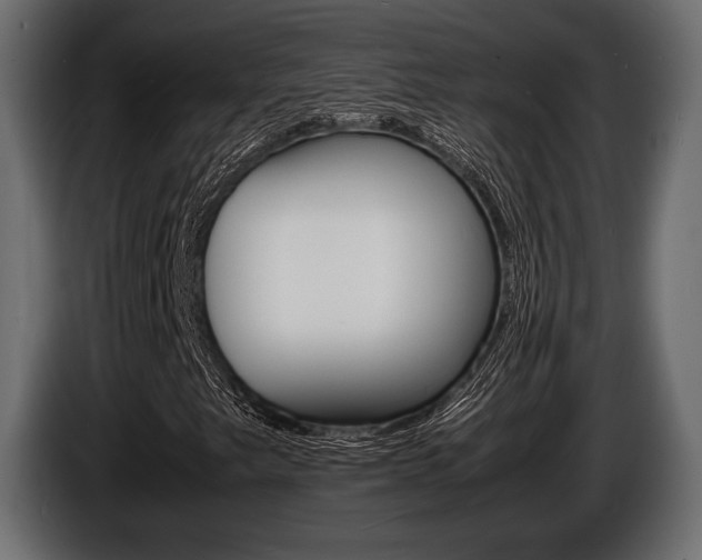 X0000086721249200704130721