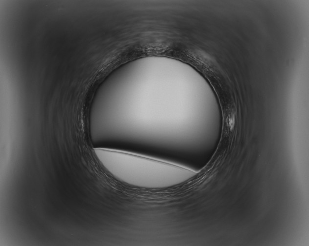 X0000086721252200704130721