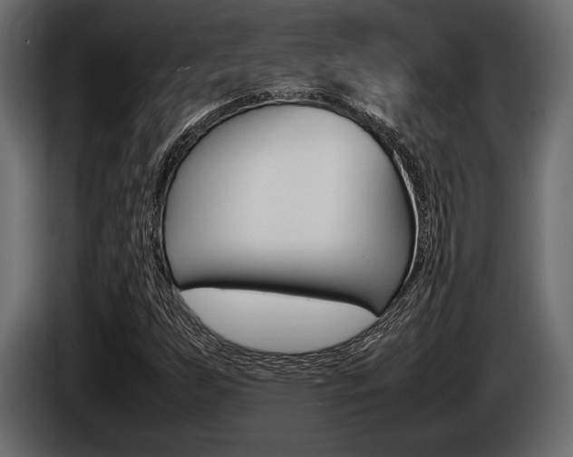 X0000086721255200704130721