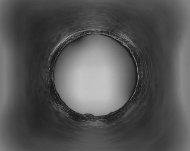 X0000086721256200704130721