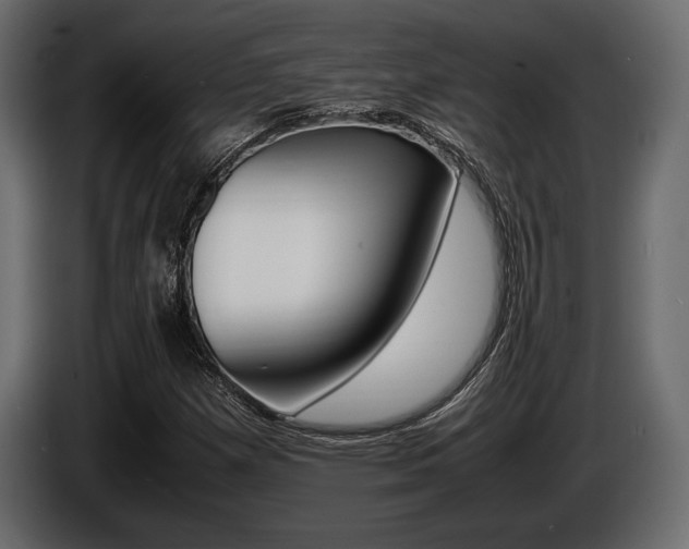 X0000086721257200704130721
