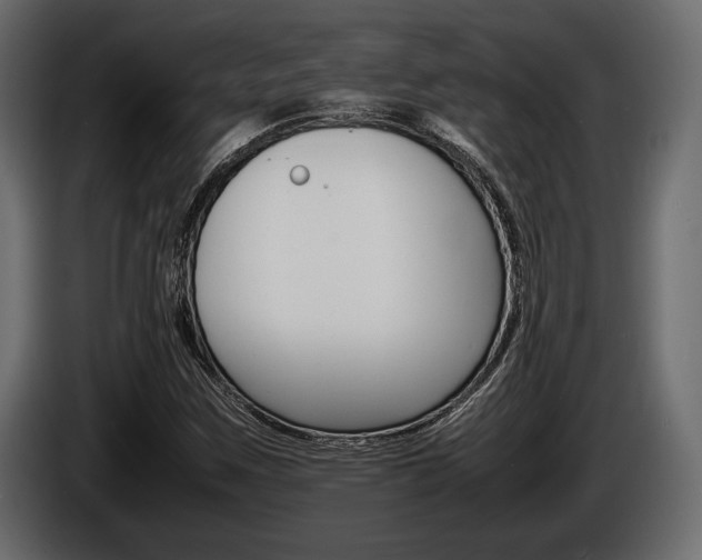 X0000086721259200704130721