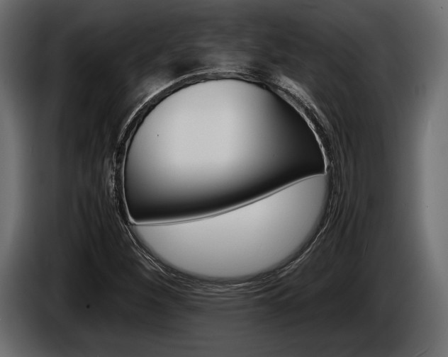 X0000086721260200704130721