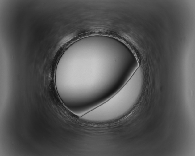 X0000086721261200704130721