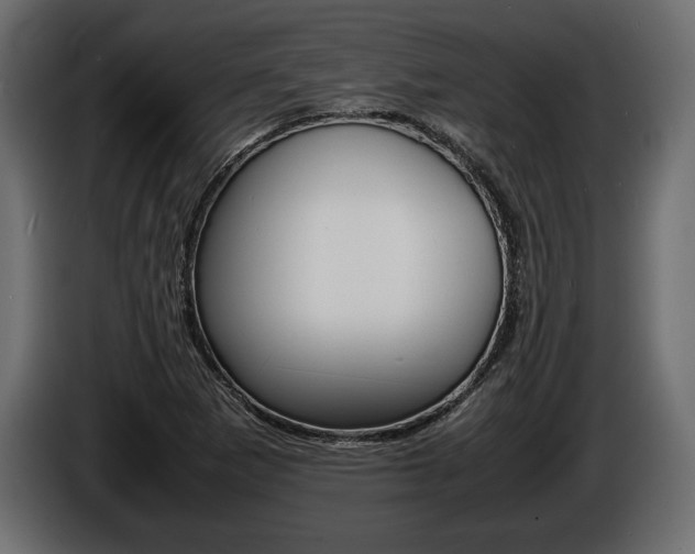 X0000086721265200704130721
