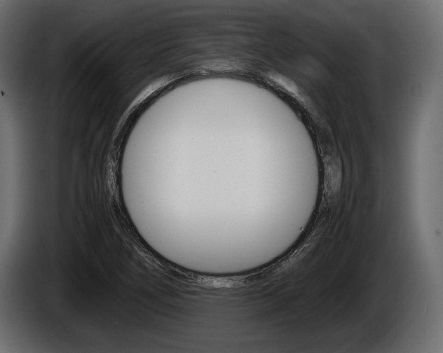 X0000086721266200704130721