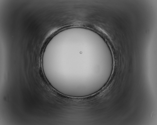 X0000086721267200704130721